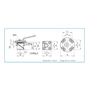 RUB.A CARTUCCIA  DN 6-107001